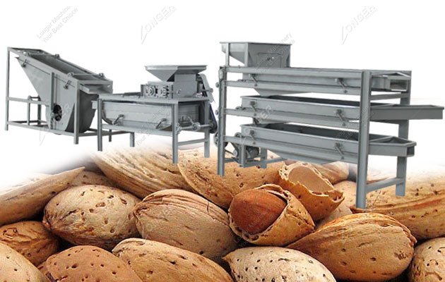 Automatic Almond Shelling Line Processing Equipment 300-500 kg/h