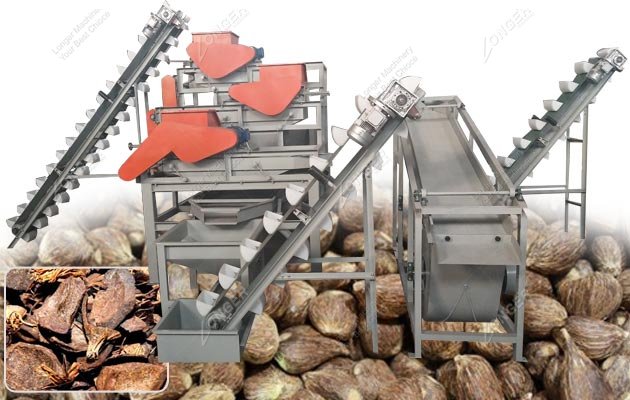 Palm Kernel Cracking Crushing Machine|Chestnut Processing Equipment Plant