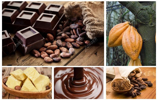 How is chocolate made from the raw cocoa beans step by step in factory?