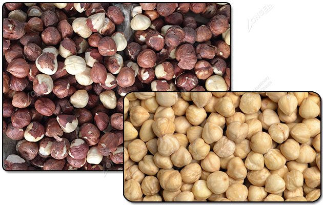 How to roast shelled hazelnuts in food industry?