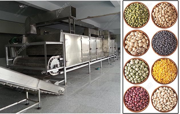 Electric Grain Roaster Machine Supplier