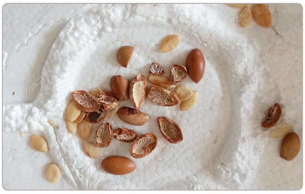 Morocco Nut Shelling Machine