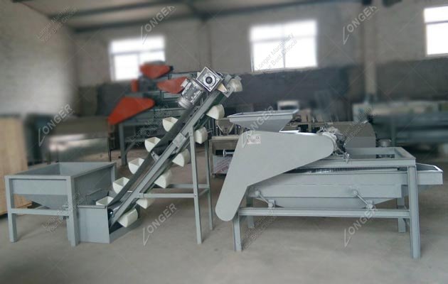 Almond Shelling Removing Machine for Sale