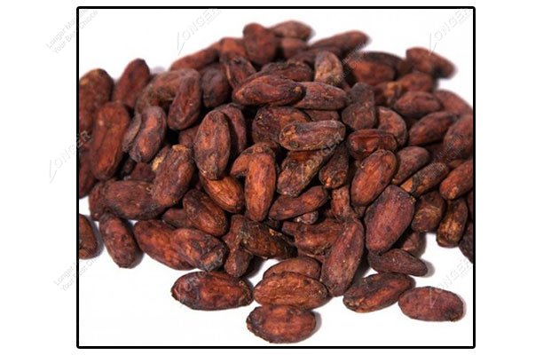 Commercial Cocoa Beans Roasting Time and Temperature in Factory