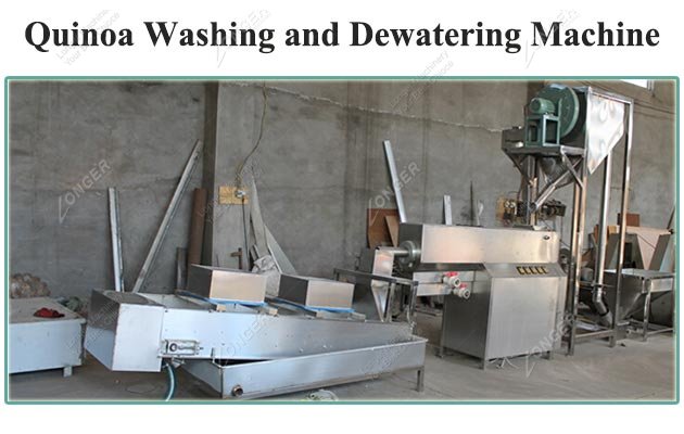 Automatic Quinoa Washing and Dewatering Machine