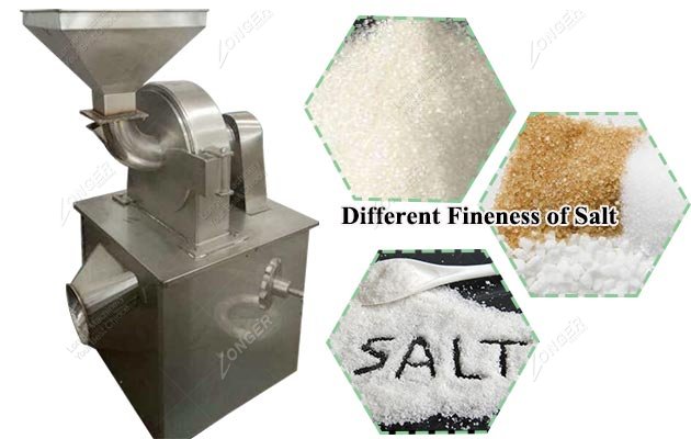 SS 304 Salt Crushing Machine Supplier