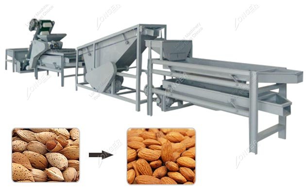 Almond Processing Factory in China