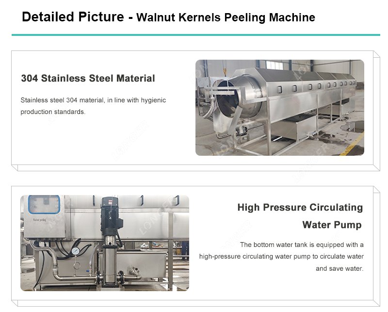 Walnut Kernel Peeling Machine 304 Stainless Steel