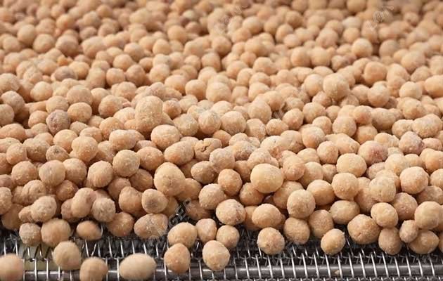Coated Peanut Production Line 200 kg/h