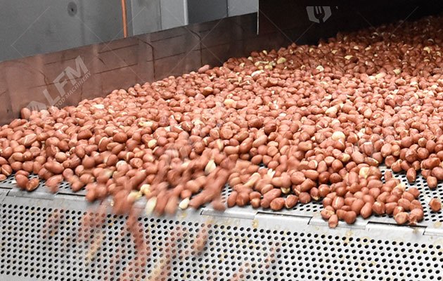 Continuous Nuts Roasting Machine Line for Peanuts