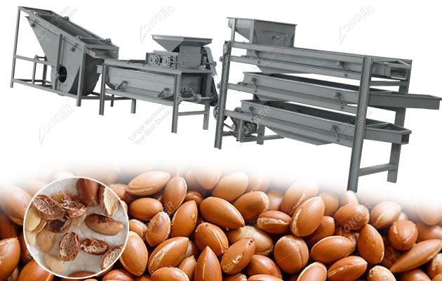 Morocco Argan Nut Shelling Unit|Breaking Machine for Argania Spinosa