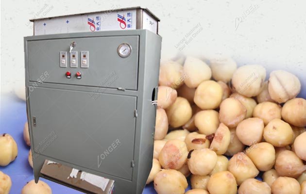 Hazelnut Gas Peeling Machine|Cashew Kaju Skin Removing Machinery Low Cost