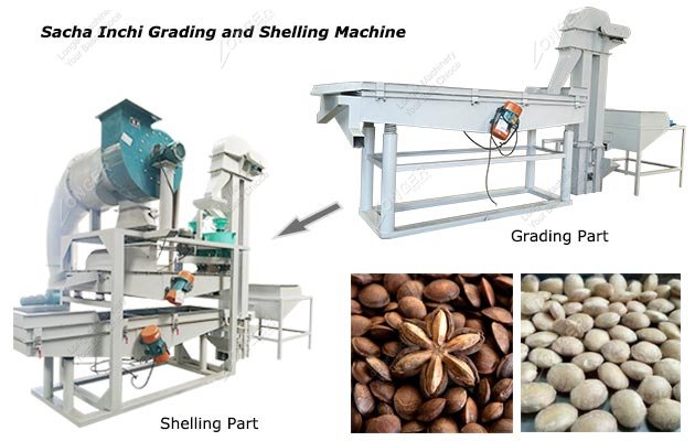 Special Sacha Inchi Grading and Shelling Machine 100-150 KG/H