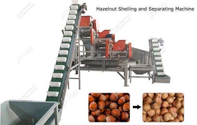 Large Scale Hazelnut Shelling and Separating Machine 1 T Per Hour
