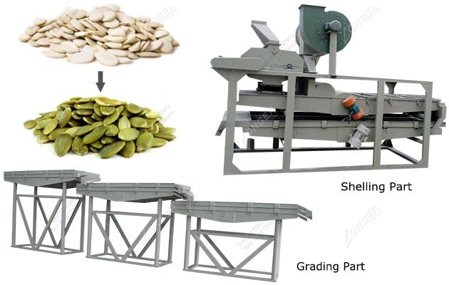 Automatic Pumpkin Seed Shelling Processing Machine in Mexico