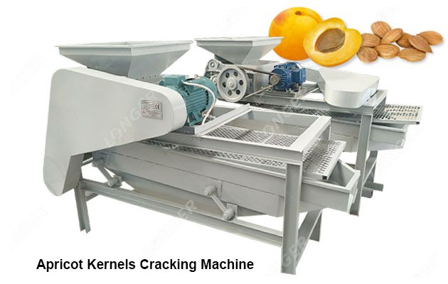 500 kg/h Apricot Kernels Cracking Machine
