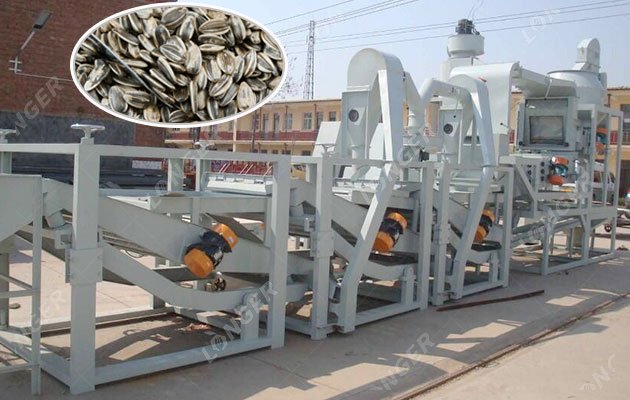 How Does a Sunflower Seed Dehulling Machine Work?