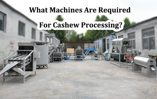What Machines Are Required For Cashew Processing?