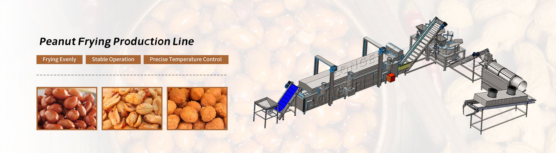 Peanut Frying Production Line