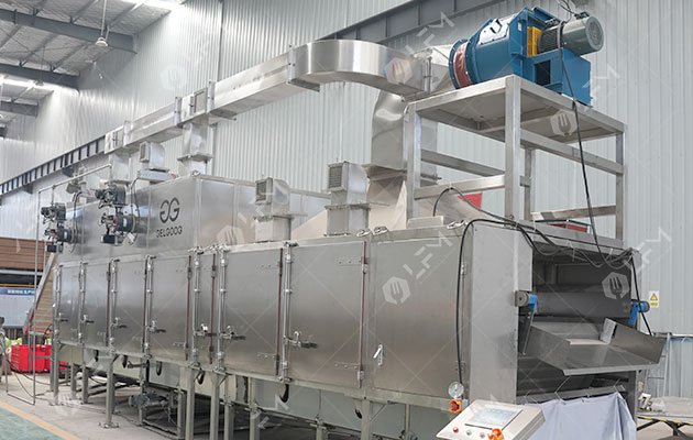 Chinese Almond Roasting Machine Factory Price