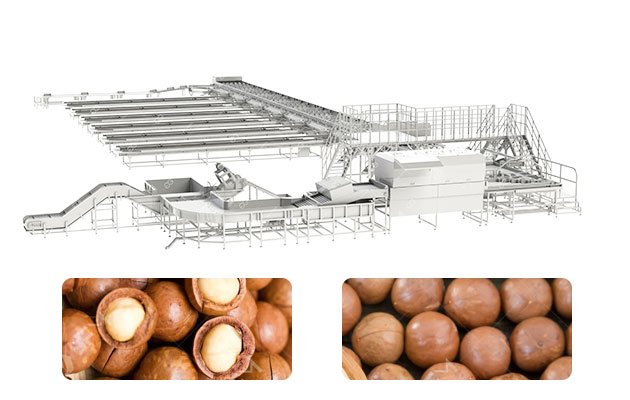 Macadamia Nut Sorting Line | Color & Size & AI