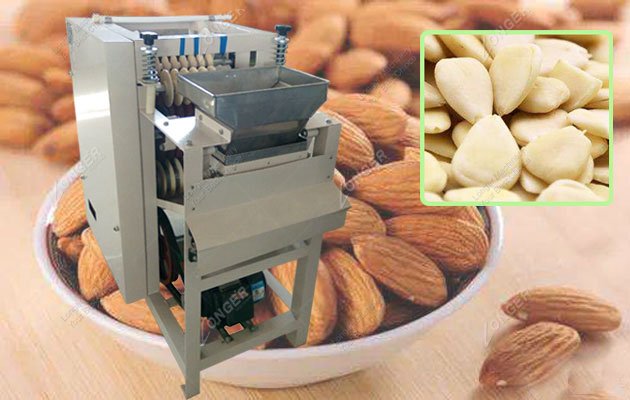 Almond Skin Peeler Machine in Sri Lanka
