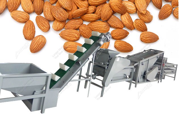 Almond Processing Machine for Factory