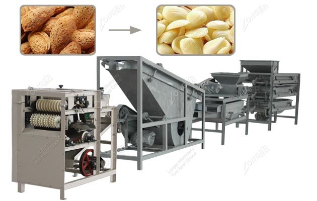 Commercial Almond Processing Line