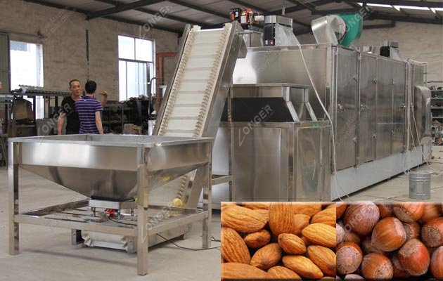 Hazelnut Drying Equipment Manufacturer