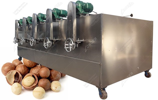 Macadamia Nut Dry Equipment South Africa