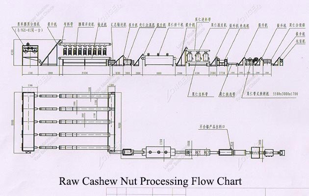 Raw Cashew Nut Processing Flow Chart