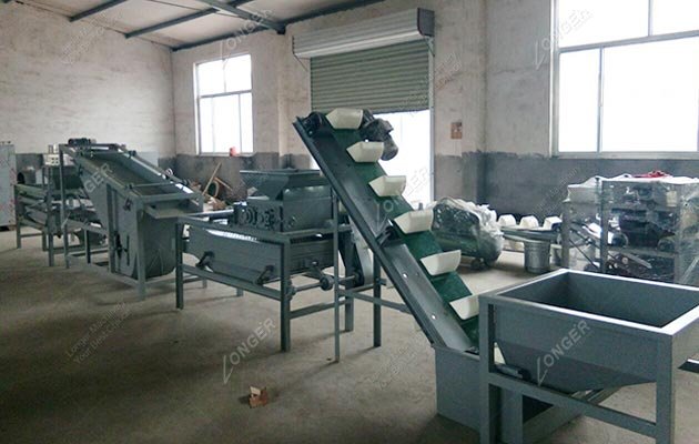 Automatic Almond Shelling Line in China