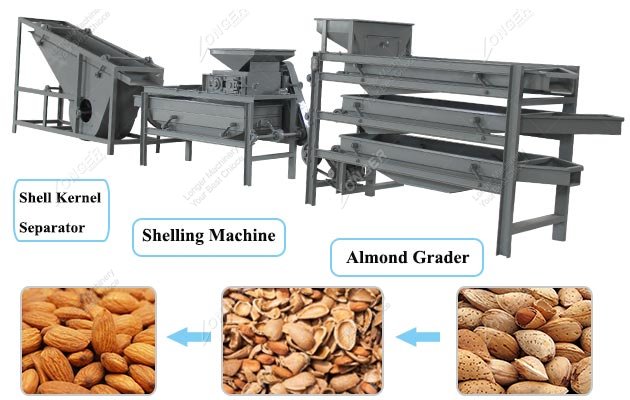 Almond Processing Equipment China Manfuacturer