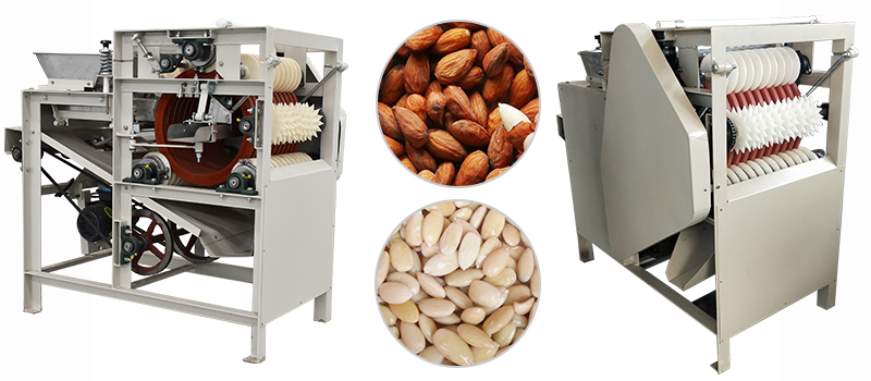 Wet Almond Peeling Machine for Sale Manufacturer