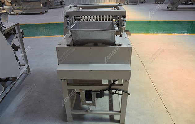 Almond Peeler Machine Stainless Steel