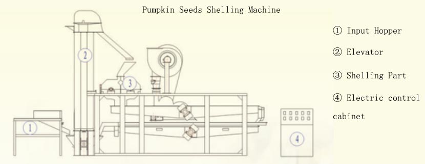 Automatic Pumpkin Seeds Shelling Machine in Mexico