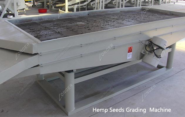 Hemp Seeds Grading Machine Supplier
