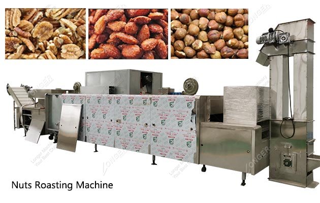 Continuous Pecan Nut Roasting Machine