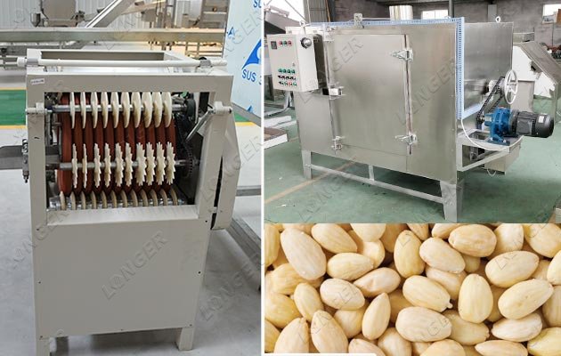 Defatted Almond Powder Making Machine - Peeling Machine