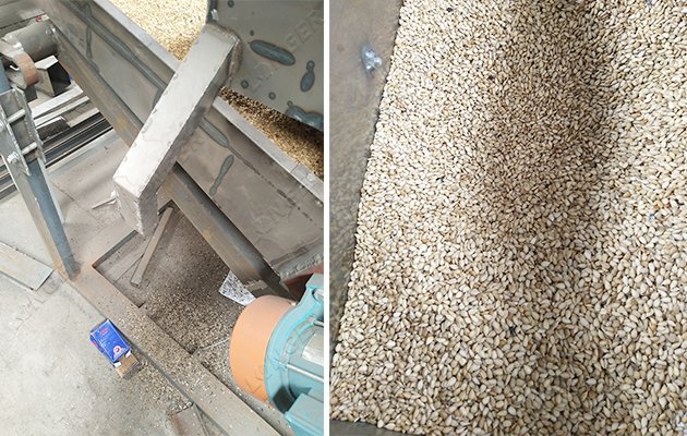 sunflower Seed Dehulling Machine Manufacturer in China