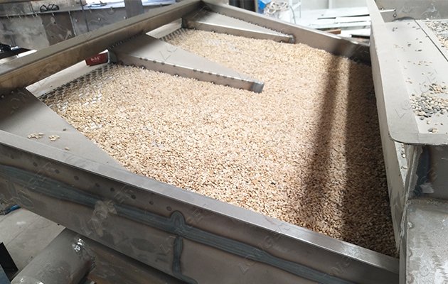 Sunflower Seed Shelling Machine Manufacturer in China