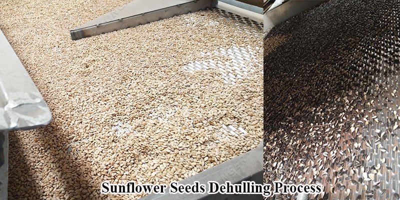 Sunflower Seed Dehuller Machine in Russia