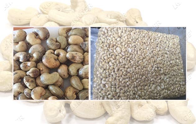 Good Quality Cashew Nut Processing Machine in Nigeria
