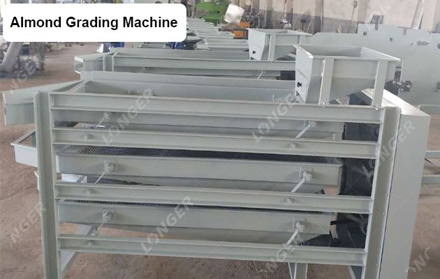 Almond Grading Machine Factory Price