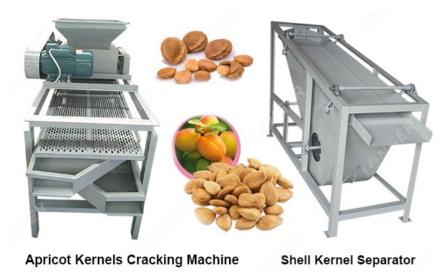 Apricot Kernels Shelling Machine Price