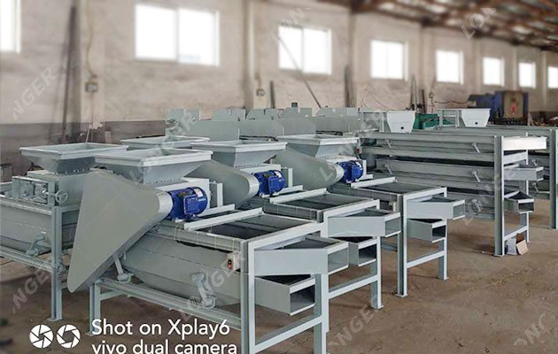 Almond Cracking and Shelling Machine Factory