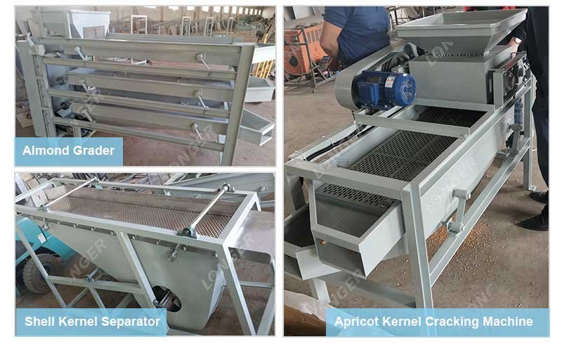 Apricot Kernels Shelling and Separator Machine