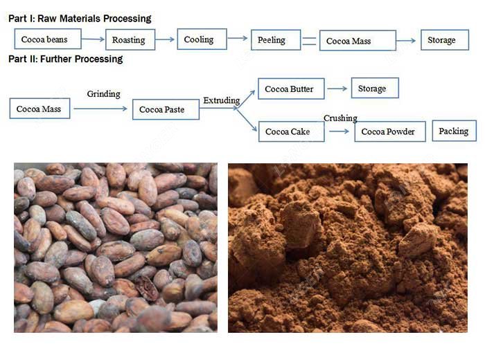 How to Make Cocoa Powder from Cocoa Beans?