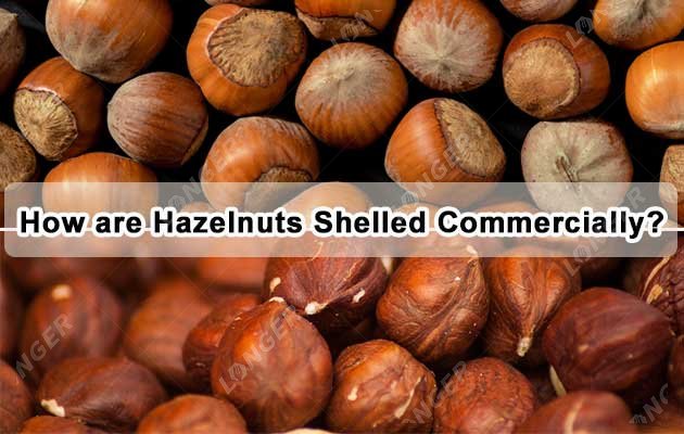 How are Hazelnuts Shelled Commercially?
