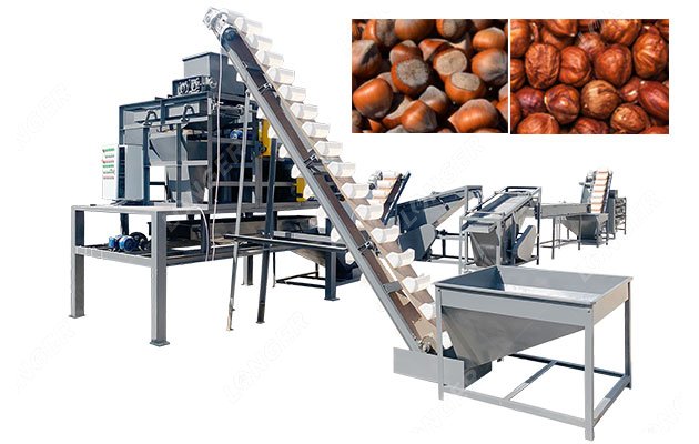 1 T Automatic Hazelnut Processing Machine Line